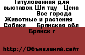 Титулованная для выставок Ши-тцу › Цена ­ 100 000 - Все города Животные и растения » Собаки   . Брянская обл.,Брянск г.